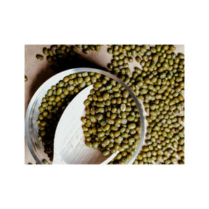 Venta al por mayor de alta calidad Green Mung Vigna Beans Precio - Product Image 3