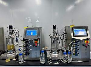 Bailun 10L bioréacteur bio fermenteur types de vaccin bioréacteur en verre à agitation mécanique utilisé BLBIO-GJ de culture - Product Image 6