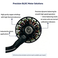 Motor CC sin Escobillas de Alto Torque R2807 1350KV 6S 1.35kW para Plataformas Multirrotor de Larga Duración y Sistemas Aéreos de 7 Pulgadas de Alta Eficiencia