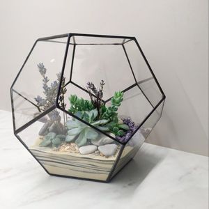 Terrarium en verre géométrique personnalisé Terrarium en verre inoxydable Décoration intérieure et extérieure Décoration de table sur mesure - Product Image 6