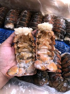 Homard entier surgelé de qualité au prix de gros avec livraison rapide et qualité supérieure garantie pour vos fruits de mer - Product Image 5