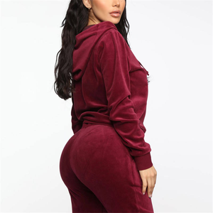 Stylish Ladies <b>Plus</b> <b>Size</b> <b>Velour</b> <b>Tracksuit</b> Elegant Full Sleeve Zipper Hoodie With Pockets Matching Pants Perfect For Travel - Product Image 2