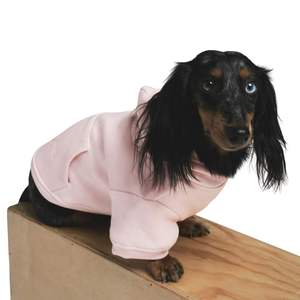 Autumn Winter Pet Supplies Cat Pet Clothes Sportswear Jeans Pocket Two-Leg <b>Dog</b> Clothes <b>Hoodie</b> High Quality - Product Image 6