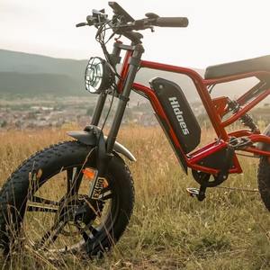 Nouvelles Vélos Électriques B.6 Electrics 48v 1200w EMTB avec Moteurs à Roue Arrière - Product Image 2