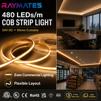 Lampu Strip LED COB Tanpa Titik RAYMATES Harga Pabrik CRI 90 DC24V Fleksibel untuk Pencahayaan Kabinet Ruang Tamu
