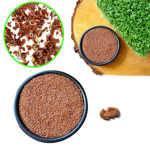 Cress | ใบทำอาหารอินทรีย์ | อุปทานของฟาร์มอาหารรสเลิศ - Product Image 4