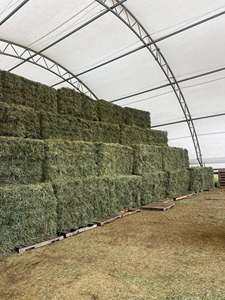 Pellets de Alfalfa Premium |   Proteínas de Grado Alimenticio con Alto Contenido de Proteínas |   Alimento para Animales que Promueve la Nutrición - Product Image 4