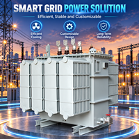 Transformateur de puissance triphasé immergé dans l'huile à haute efficacité 750 KVA, moyenne tension, faible perte, sortie personnalisée 400 V réseau