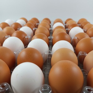 Sẵn Sàng Để Tàu Tươi Trứng Gà Nâu Và Trắng Vỏ Kích Thước Lớn Sạch Và Tươi Cung Cấp Số Lượng Lớn OEM Bao Bì Được Chấp Nhận - Product Image 5
