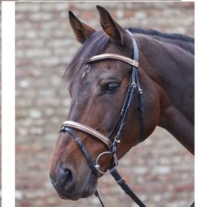 Precio al por mayor Brida de caballo Venta al por mayor Negro Heavy Strong Duty Real Indian Leather Horse Brida para la venta - Product Image 3