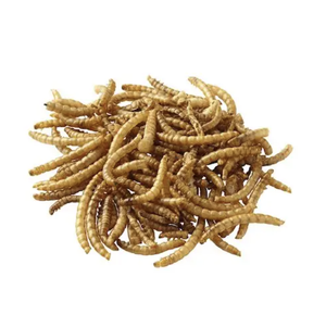 Venta al por mayor de gusanos secos naturales puros alimentos para mascotas piensos para animales - Product Image 4