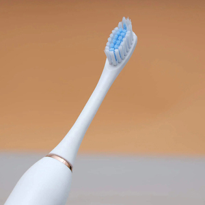 Meilleur prix Meilleur matériel Service OEM Blanchiment des dents à lumières bleues Brosse à dents électrique rechargeable sans fil Usine OEM à bas prix - Product Image 6