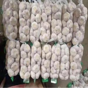 Ail frais de nouvelle récolte, ail blanc normal à bon prix - Product Image 1