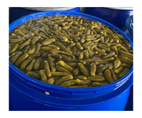 Pepinillos en escabeche Pepinos bebé en salmuera-Pepino enlatado conservado en vinagre