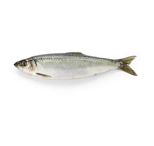 Good Sell Factory Directly Supply High Quality Frozen Herring <b>Fish</b> - Product Image 2