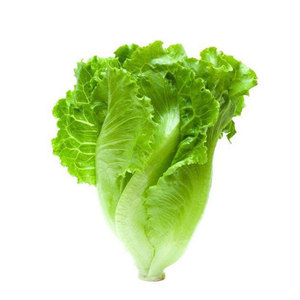 ผักพรีเมี่ยม: ใบลำต้นและเมล็ดพืชสำหรับสลัดซุปแซนวิชห่อและย่างจากการขายดี - Product Image 3