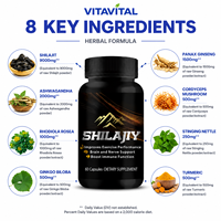 Kapsul Shilajit Suplemen Herbal Dewasa OEM ODM Label Pribadi Produsen Formula Khusus Dukungan Kekebalan Tubuh Alami Organik 60