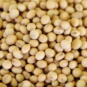 非Gmo大豆/大豆、大豆種子および大豆種子OEM高品質