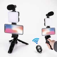 Kit de réalisation vidéo professionnel AY-49H avec trépied pieuvre, microphone, lumière d'appoint LED, ensemble Vlog pour téléphone, appareil photo, YouTube, TikTok Live