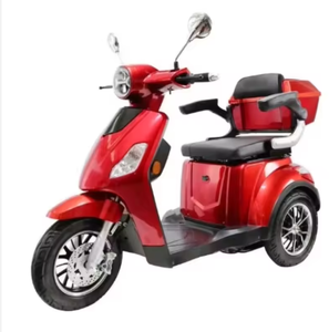Triciclo Eléctrico de Calidad Vis-ta-2 1000W, Vehículo de Movilidad para Adultos con Asiento - Product Image 2