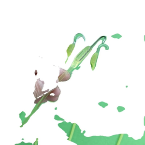 Crochets de rétraction des plaies SS-80362, utilisation manuelle en milieu hospitalier, acier de classe II, pointes pointues/émoussées, crochet à anneau - Product Image 4