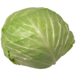 Wholesale Fresh Cabbage / Fresh Cabbage Price / Cabbage Exporter