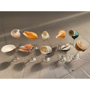 COUPES À VIN LUXUEUSES EN COQUILLE DE CONQUE LE DÉCOR PARFAIT 2025 ÉVÉNEMENTS BELLE COUPE À VIN DE CHAMPAGNE POUR LA DÉCORATION D'ÉVÉNEMENTS DE FÊTE LUXUEUSE - Product Image 6