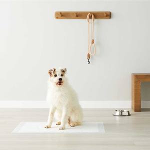 Coussinets de dressage pour chien en vrac, fond antidérapant et haute absorption-petites/moyennes/grandes tailles/ - Product Image 6