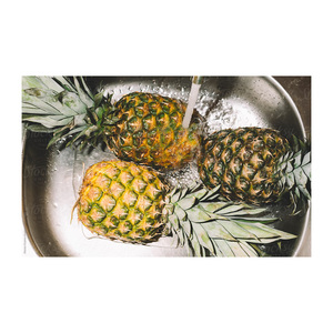 Alta calidad con el mejor precio Pulpa de piña seca Alimento para animales a la venta en buen precio Pulpa - Product Image 3