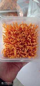 Cordyceps ป่าทั้งฮิมาลเลียน Cordyceps Sinensis เห็ดแท้จากเวียดนาม - Product Image 4