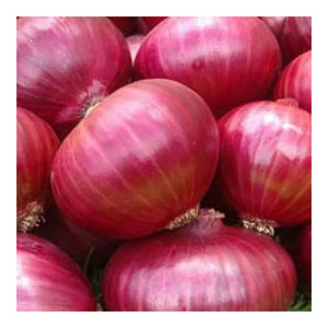 Mejor precio Cebollas de piel roja 6-8cm Tamaño Cebollas Rojas moradas Embalaje a granel Precio de fábrica de alta calidad Exportación Oferta al por mayor - Product Image 6