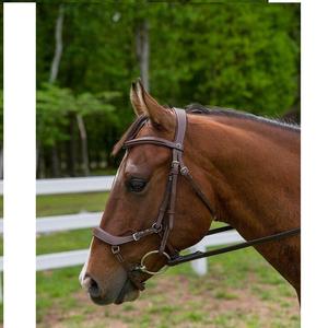 Brida de caballo ecuestre occidental de alta calidad Material de PVC impermeable de cuero Real logotipo personalizado precio al por mayor - Product Image 2