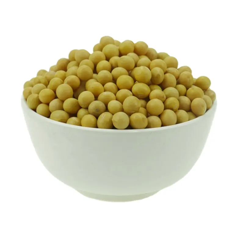 Organic Soy Beans, 20 Pounds Non-GMO, Fresh stock Organic soybean wholesale custom Soybean suppliers .
