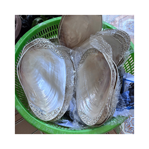 Plateau en nacre fabriqué à la main véritable surface de coquillage avec base en feutre pour anneau plat et boutique affiche, du Vietnam - Product Image 5