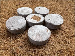 Pellets de disco de turba de coco para germinación de semillas Semillas de vivero-Producto agrícola - Product Image 4