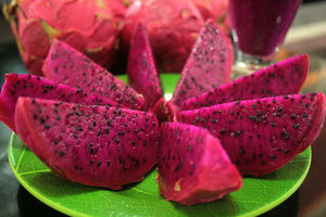 จัดหาที่มีคุณภาพสูงแช่แข็งแห้งวิธีแช่แข็งมังกรผลไม้ Ms โซฟี - Product Image 2