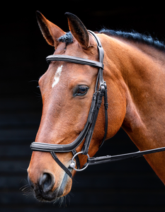 Brida de cuero de filete de caballo de alta calidad en cuero genuino marrón FABRICANTE de brida de caballo de buena calidad - Product Image 4