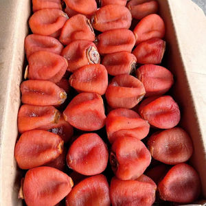 Kaki doux séché authentique du Vietnam fabriqué à partir de fruits frais mûrs, parfait pour l'exportation, la vente en gros et l'application alimentaire - Product Image 1