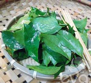 การใช้งานสำหรับ clausena indica ส่งออกในราคาที่ดีที่สุด - Product Image 5
