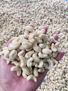 Offre Spéciale de noix de cajou de haute qualité du Vietnam WW180 WW240 WW320 WW450 meilleur prix/ANNA DO VILACONIC - Product Image 5