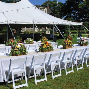 White Wood and Resin <strong>Folding</strong> <strong>Chairs</strong> <strong>Chair</strong> Wedding Decoration High Quality Hotel <strong>Dining</strong> <strong>Chair</strong> - Product Image 2