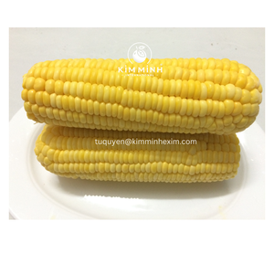Maïs sucré entier congelé IQF qualité supérieure du Vietnam - Product Image 1