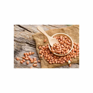 ถั่วลิสงและเม็ดมะม่วงหิมพานต์จากธรรมชาติเกรดสูงปลอดสารพิษอาหารแห้ง - Product Image 5