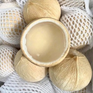 Noix de coco naturelle douce et polie au goût tropical rafraîchissant, produit agricole du Vietnam - Product Image 1
