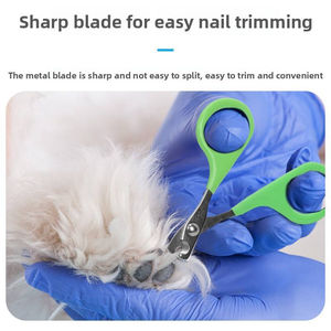 กรรไกรตัดหนังกำพร้าโค้งรูปทรงสวยงาม ด้ามจับตามหลักสรีรศาสตร์ คมกริบ จับสบาย ตัดเล็บง่าย ผลิตจากสแตนเลส ราคาขายส่ง - Product Image 2