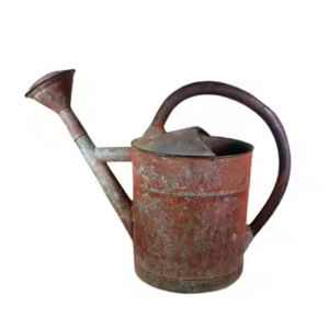 Arrosoir de fleurs de forme personnalisée au design moderne Pot d'eau galvanisé de meilleure qualité pour plantes à bas prix - Product Image 4