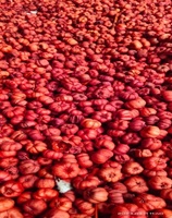 Putka Pods Mini Pumpkin Potpourri Alami Kering Dekorasi Pesta Pernikahan Dekoratif Pcs Warna Tanaman Bahan Asli