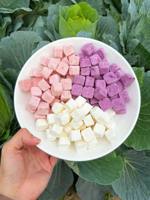 Groothandel Gefreeze-droogde Yoghurtblokjes met Fruit Smaken, Knapperige Yoghurtblokken, Bulkverpakking, Exportkwaliteit - Mevr. Tarina