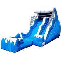 Toboggan aquatique gonflable en forme de dauphin avec piscine, prix d'usine, grands toboggans aquatiques Justfun à vendre