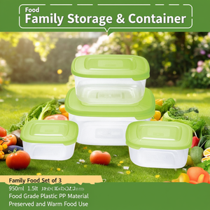 Set <span class=keywords><strong>contenitori</strong></span> alimentari 3 pz (950 ml, 1,5 e 2,5 lt) FAMILY FOOD Verde 904063781A - Product Image 3